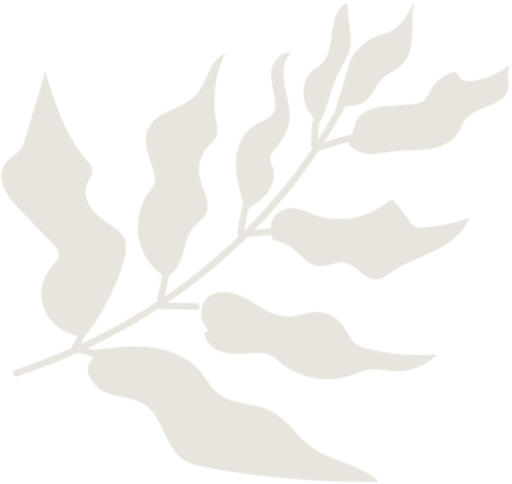 背景リーフ